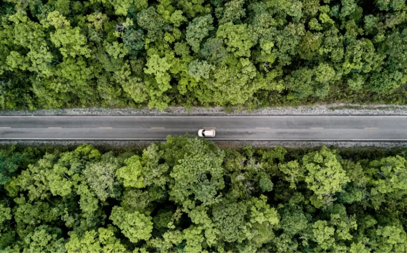 Carbon Neutrality - 2040